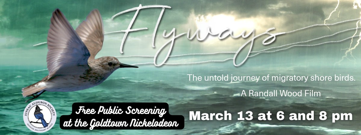 Flyways Banner with event details