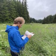 Picture of man in field of grasses, looking at a clipboard.