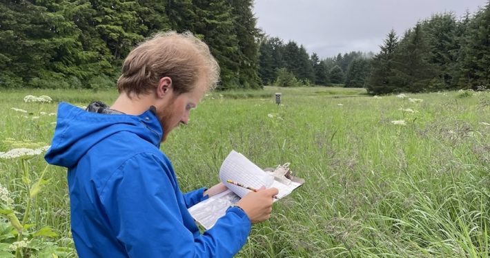 Picture of man in field of grasses, looking at a clipboard.