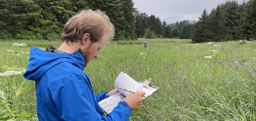 Picture of man in field of grasses, looking at a clipboard.